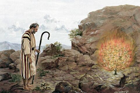 Moses