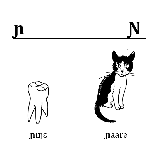La lettre nj La lettre nj