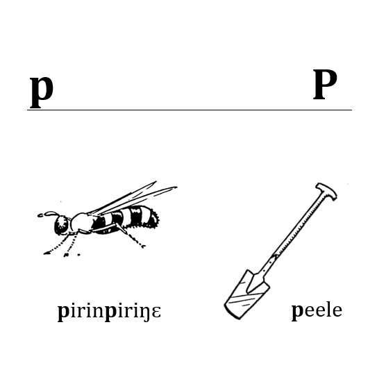 La lettre p La lettre p
